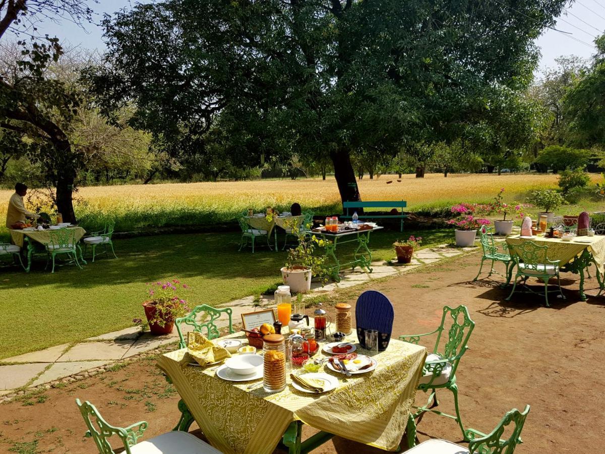 Hotel Shahpura Bagh Extérieur photo