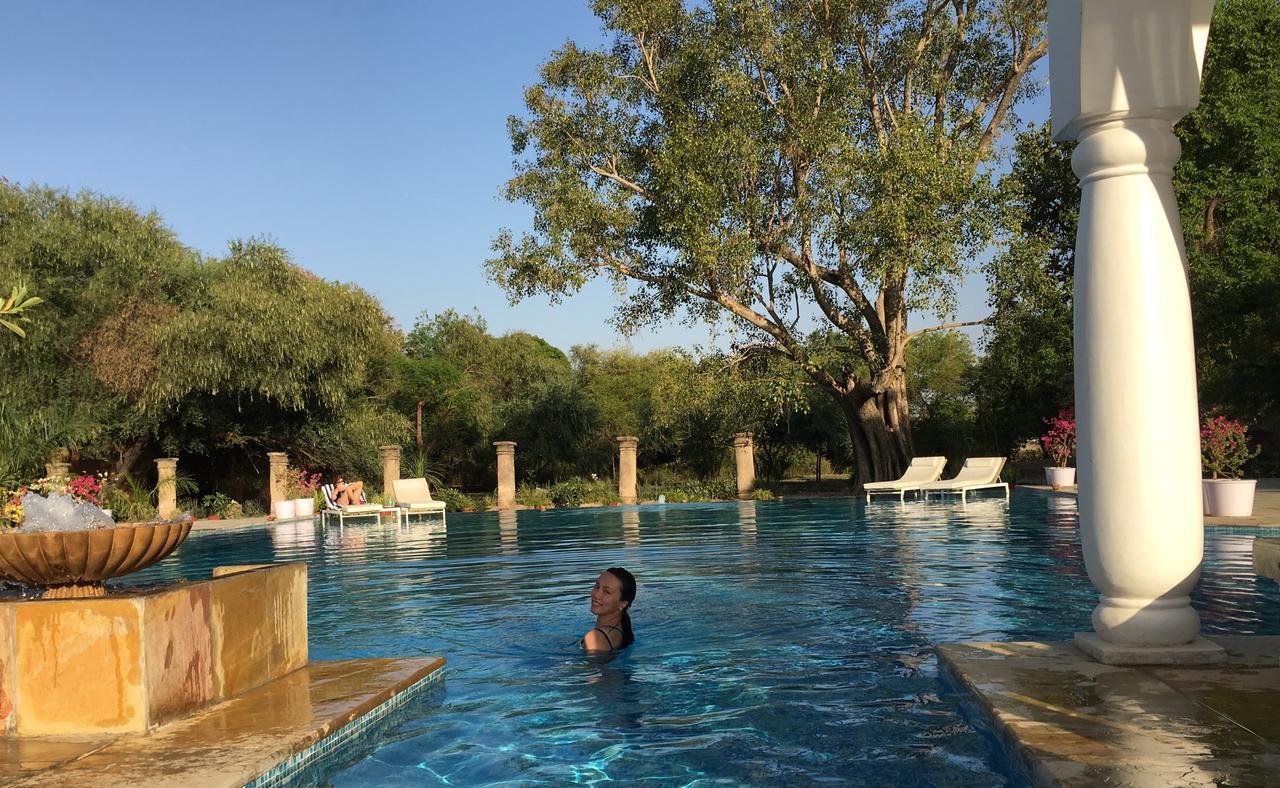 Hotel Shahpura Bagh Extérieur photo
